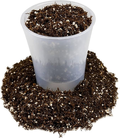 Fern + Perlite Soil Mix for Repotting and Planting Succulents and Cactuses - 3 Quart Bag