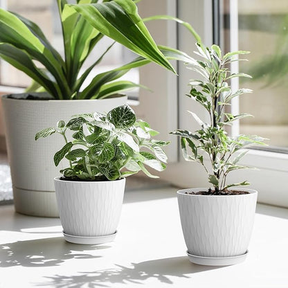 6 inch Flower Pots, 5 Pack Plant Pots with Drainage Holes and Saucers for Indoor Plants, Plastic Planters with Water Ripple for Small Garden House Plants, Nursery Pots for Succulent, White
