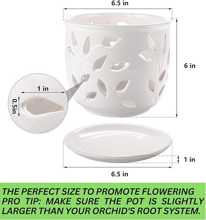 Orchid Pot with Holes & Saucer Ceramic 6.5 in. Indoor or Outdoor Large Pot for Orchid Care & Root Health with Precise Aeration & Drainage – Durable for Repotting or New Plants