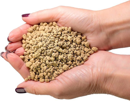Japanese Hyuga Pumice - 20 Quart - Premium Additive for Orchid & Bonsai Tree Soil |Professional Imported Sifted and Ready to Use (4 Bags of 5 Quart)