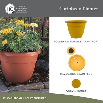 The HC Companies Caribbean Planter Pot - Outdoor & Indoor Plant Pot with Drainage Hole & Plug - Rolled Rim Plastic Pots for Plants & Flowers - Decorative Plant Pot (10" Honey, Pack of 2)