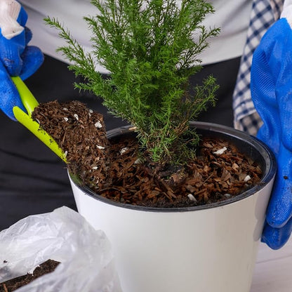 Bonsai Soil Mix Ready to Use (2qt), Premium Fast Draining Organic All Purpose Potting Mix for All Varieties of Bonsai