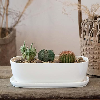 Ceramic Plant Pots, 11+14 inch, Set of 2, Planters with Drainage Holes Saucers and Mesh Pads, Indoor Flower Succulent Pot with Hole Mesh Pad, Gifts for Mom, Plants Not Included