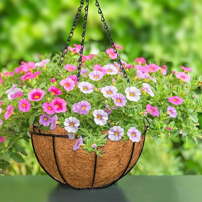 ZeeDix 6 Pack 12 Inch Metal Round Hanging Planter Basket with Coconut Liners Replacement, Hanging planters Baskets with Natural Coco Liner for Outdoor Indoor Planters Flowers Vegetables
