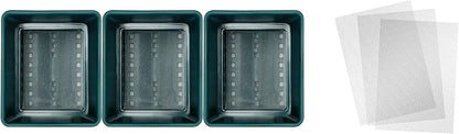 D'vine Dev Herb Garden Planter Set, Plastic Plant Pots with Drainage and Saucer, Indoor Succulent Cactus Vegetable Pot for Windowsill, Garden Balcony, Green, Set of 2, 76-V-C-2