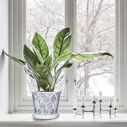 Blue and White Ceramic Pots for Plants, Decorative Plant Pots Round Ceramic Planters for Indoor Plants Pots with Drainage Hole Saucers, Retro Planter Pot for Succulents Cactus Flowers Outdoor 4.8/5.5"