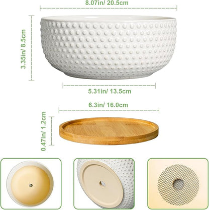 Succulent Pots 8 Inch - Ceramic Bonsai Planters for Indoor Plants, Plant Pot with Drainage Hole and Saucer, Shallow Round Flower Planter, Modern Room Decor, Gifts for Plant Lover, White
