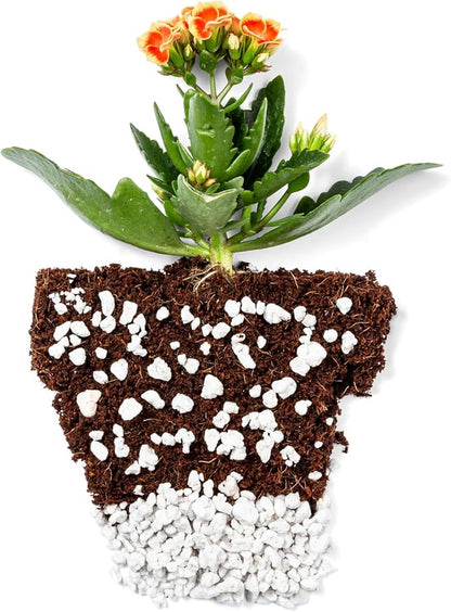 Coco Coir 250gm Bricks (10-Pack) + Perlite Bliss (8 Qts) - OMRI-Listed Coco Coir & Organic Perlite for Plants - Compressed Coco Coir Bricks with Low EC & pH Balance - Horticultural Perlite for Plants
