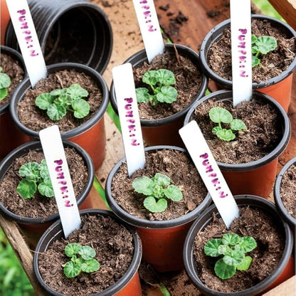TDHDIKE Plastic Planter Nursery Pots 4" Small (50pcs Pots and 50pcs Labels) Seedlings Flower Pots Container Seed Starting Pots for Plants