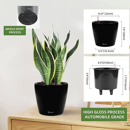 Dexceder 9x8 Inches High Gloss Self Watering Planter Indoor Outdoor, Inner Pot Design, Thickened Table Flower Plant Pot with Water Level Indicator (Black)