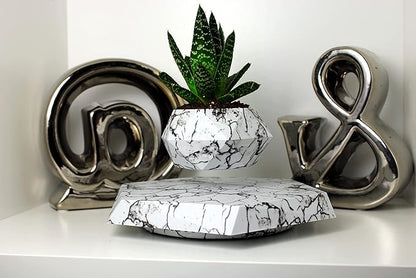 BandD Plant Pot for Succulents, air Bonsai & air Plants. Planter for Home, Office & Desk Decor. Magnetic Floating Levitating Display. (Marble)
