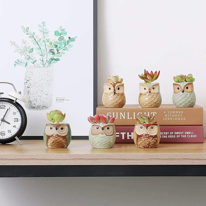 T4U 2.5 Inch Owl Ceramic Succulent Planter Pots with Drainage Hole Set of 12, Small Cactus Pots Cute Plant Holder Container Best for Home Office Decor Gardening Gift