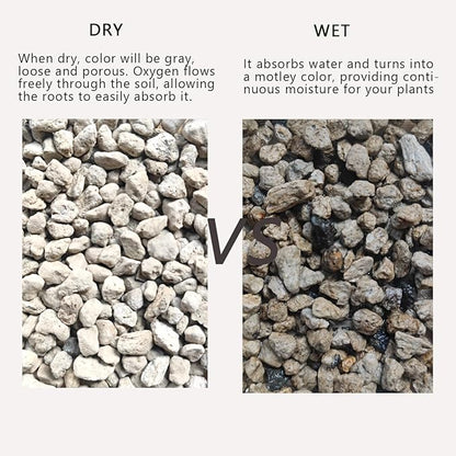 Horticultural Pumice for Plants 10QT, Natural Organic Pumice Stones for Succulent Cactus Bonsai Tree Orchid Potting Mixed, Improves Soil Aeration and Drainage, Promotes Root