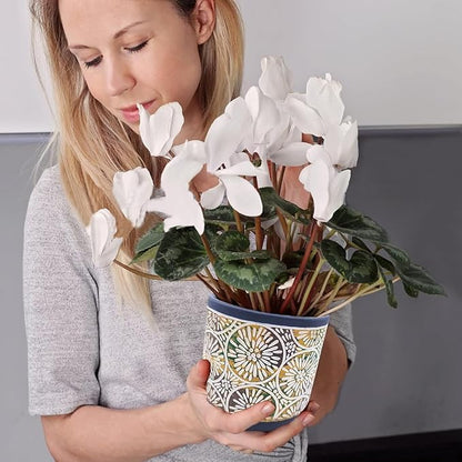 DeeCoo 3 Piece Ceramic Plant pots Indoor Pots Set with Drainage Holes, 5.7/4.7/3.5/inch, Modern Decorative pots Outdoor Plants Lilies, Cacti, Succulents, Snakes, and Bamboo (Blue)