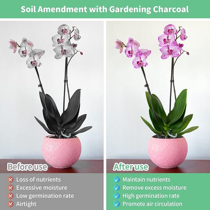 Legigo 10QT All Natural Horticultural Charcoal- Activated Hardwood Plant Charcoal for Soil Amendment, Conditioning Bonsai Soil, Succulent Soil, Terrarium Supplies, Indoor Plant Potting Soil