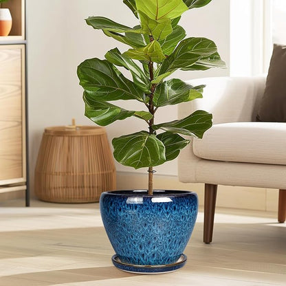 8 Inch Ceramic Plant Pot, Ceramic Planter Pot for Indoor Outdoor Plants, Round Flower Pot with Drainage Hole and Saucer, Blue