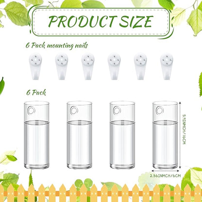 Baderke 6 Pcs Glass Wall Vase for Plants Indoor Hanging Propagation Planter Container Holder with Plastic Invisible Traceless Hangers Hydroponic Plant Succulent Garden Wedding Decor