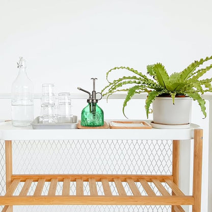 Glass Plant Mister Spray Bottle, Vintage Plant Spritzer Watering Can, Succulent Watering Bottle with Top Pump, Small Plant Sprayer Mister for Indoor Outdoor House Plant - Green