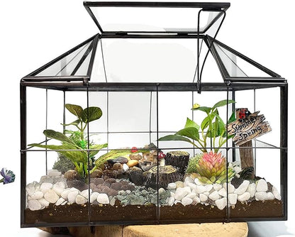 Ferrisland Glass Terrarium Greenhouse House Shape Display Box Planter for Succulents Plant Terrarium Container Mordern Tabletop Decor Gardern DIY Kit