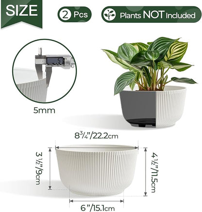 T4U Plant Pots 8 Inch, 2 Pack Self Watering Indoor Planter with Drainage Hole, Shallow Plant Pot, Home Decor Flower Pots for Plants, Herbs, Garden, White