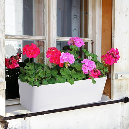 GREANER Window Boxes Planters, 3PCS 16x3.8 Inch Large Herb Planters with Tray, Indoor Succulent Cactus Flowers Vegetable Plastic Rectangle Pots for Balcony, Office, Garden, Outdoor, Windowsill (White)
