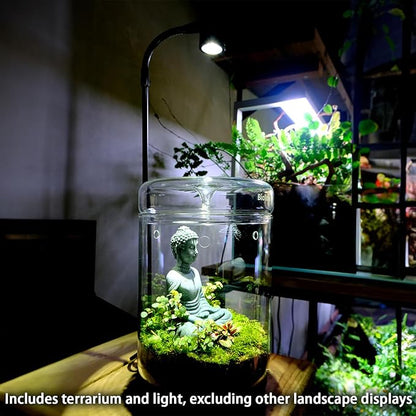 Glass Plant Terrarium 4.7"X7" Inches Succulent Air Planter Fern Moss Micro-Landscape Vase for Home Office Tabletop Decoration Container with Lid Indoor Wardian Copyright Patent（with Light）