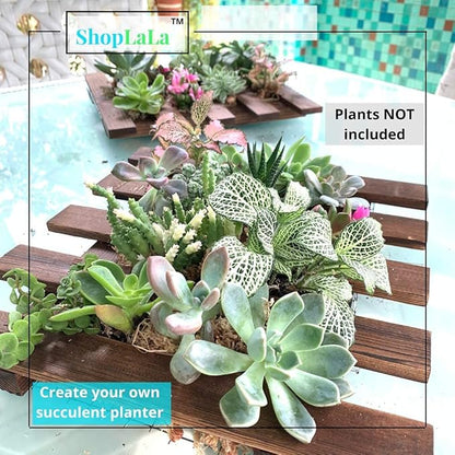 ShopLaLa Wall Planter - 2 Pack Wooden Hanging Succulent Wall Decor, Live Air Plants Orchids Wall Mounted Holder Frame Display for Indoor Outdoor, Living Plant Wall Decor Balcony Garden