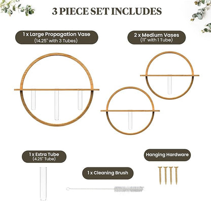 Propagation Stations - Set of 3 Bamboo Wall Planters for Indoor Plants | Propagation Wall Hanging with 5 Glass Plant Propagation Tubes | Plant Propagation Station Wall Vase
