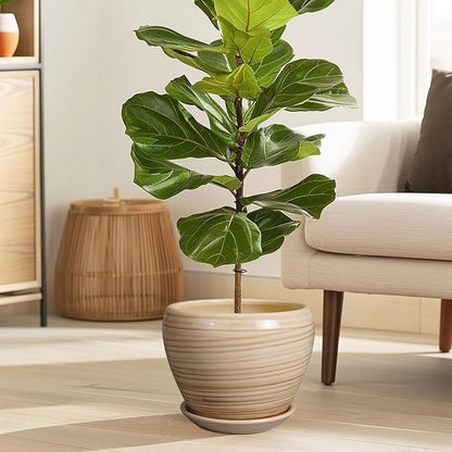 Planter Pot 8 Inch - Ceramic Pot for Plants Indoor Plant Pot with Drainage Hole and Saucer Round Planter Outdoor Modern Flower Pot Succulent Pot for House Patio Yellow