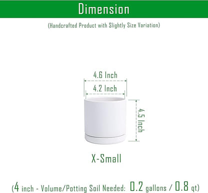 D'vine Dev Set of 4 Small Ceramic Plant Pots, 4.6 Inch Succulent Planter Pot for Plants with Drainage Hole and Saucer, White, 94-X-B-1