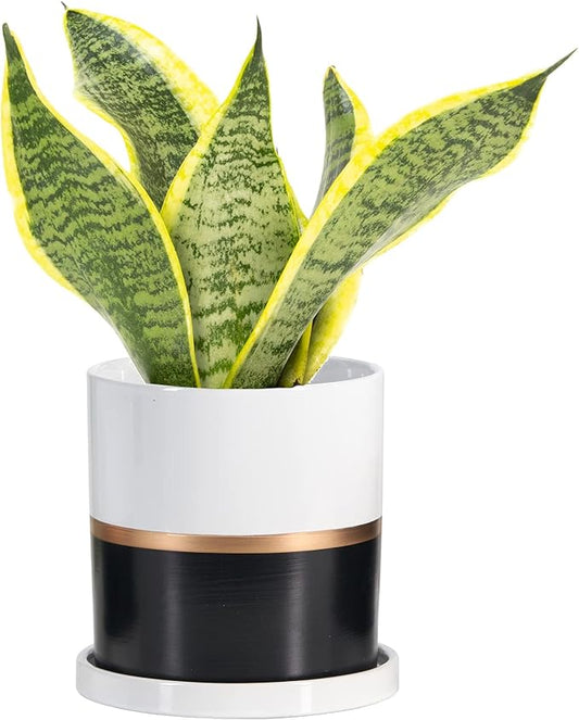 Ekirlin 4 inch Plant Pot - Ceramic Flower Planters Indoor - Modern Succulents Containers with Drain Hole Saucer, Decorate Home, Office & Outdoor (Black)