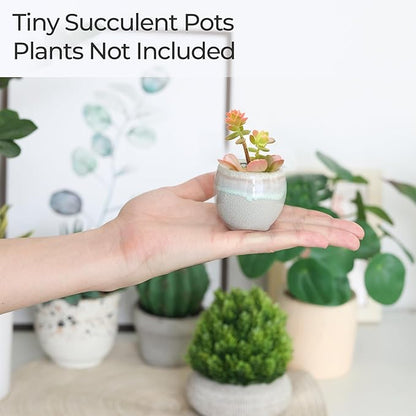 T4U Small Ceramic Succulent Pots with Drainage Set of 6, Mini Pots for Plants, Plant Lover Gifts for Women, Tiny Air Plant Flower Pots Cactus Faux Plants Containers, Home and Office Decor