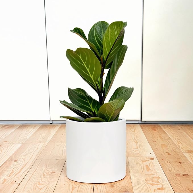 Fox & Fern 10 Inch Plant Pot with Hidden Saucer — Premium Lightweight Fiberstone Matte White Self Watering Planter with Seamless Saucer; Indoor & Outdoor Use; Weather Resistant & UV Resistant