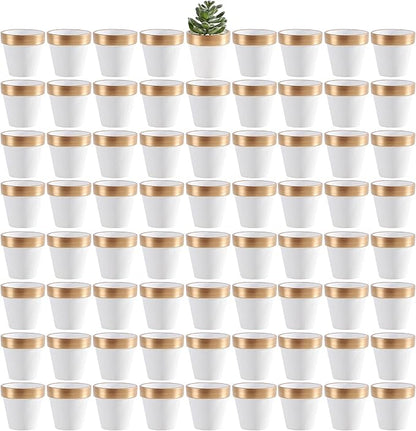 Yishang 72 pcs Small Mini White&Gold Clay Pots, 2.5'' Terracotta Pot Clay Ceramic Pottery Planter,Cactus Flower Terra Cotta Pots,Succulents Nursery Pots,with Drainage Hole,for Crafts,Wedding Favor