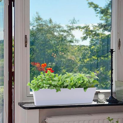 GREANER Window Boxes Planters, 3PCS 16x3.8 Inch Large Herb Planters with Tray, Indoor Succulent Cactus Flowers Vegetable Plastic Rectangle Pots for Balcony, Office, Garden, Outdoor, Windowsill (White)