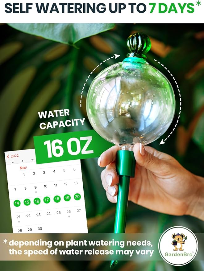 16 Oz Plant Watering Globes For Indoor Plants With Metal Self Watering Planter Insert - Premium XL Glass Hand-blown Globes - Automatic Indoor Planter Waterer, Gift Idea For Gardeners [1, Pure ]