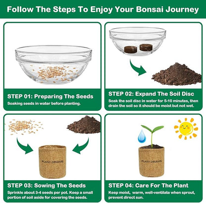 Bonsai Tree Kit, Bonsai Starter Kit for Growing Bonsai Plants with Tools, Grow Bonsai Tree Live Indoor, Garden Crafts Hobby Kits, Unique DIY Gardening Gifts for Men Women Mother