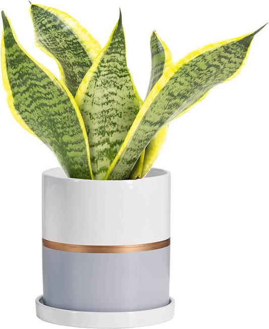 Ekirlin 6 inch Plant Pot - Ceramic Flower Planters Indoor - Modern Succulents Containers with Drain Hole Saucer, Decorate Home, Office & Outdoor (Grey)