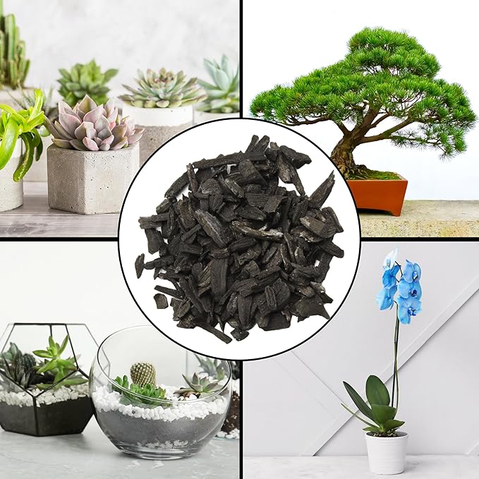 Horticultural Charcoal for Indoor Plants (2 Quarts), Hardwood Soil Additive for Orchids, Terrariums, and Gardening