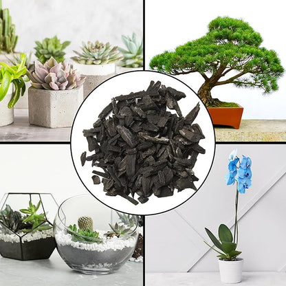 Horticultural Charcoal for Indoor Plants (2 Quarts), Hardwood Soil Additive for Orchids, Terrariums, and Gardening