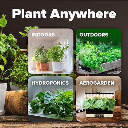 HOME GROWN 6000 Vegetable Seeds for Planting: 12 Spring Varieties of Garden Vegetables in Seed Packets, Garden Seeds for Garden Plants or Hydroponic Seeds - Heirloom Seeds - Non GMO