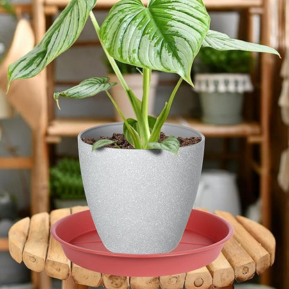 6 Pack of Plant Saucer Tray 11 12 inch, Heavy Duty Plastic Pot Plant Drip Trays Saucers for for Indoors Outdoor, Plant Water Tray for Planters 11-12" (12", Clay)