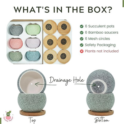 3 inch Ceramic pots for Plants, Small Succulent Pots Set with Drainage, 6 Pack Flower Pot for Indoor Plant, Decorative Planters for Little or Mini Cactus