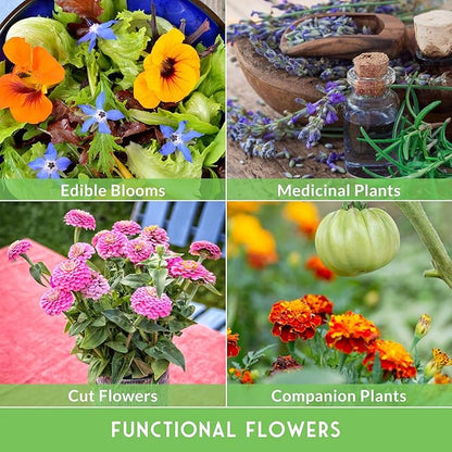 Survival Garden Seeds Functional Flower Garden Kit | 36 Pack Seed Starter Collection | Bee, Butterfly, Hummingbird, Pollinator-Friendly Blooms | Non-GMO Heirloom Beneficial Flowers & Wildflowers