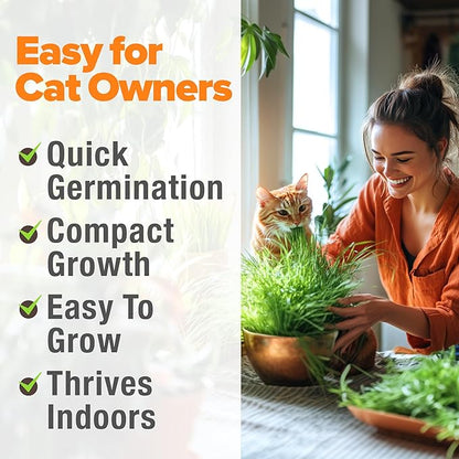 HOME GROWN Organic Cat-Grass Seed Mix (Oat & Barley) – 4 oz – Easy Indoor Planter