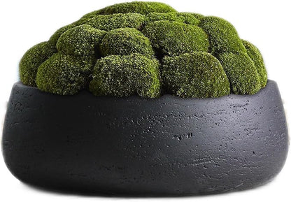 Olly & Rose Copenhagen Large Ceramic Planter Bowl Shallow Plant Pot - Matt Black Flower Pot Indoor and Outdoor Garden Décor…