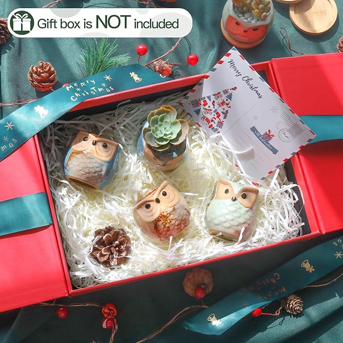 T4U 2.5 Inch Owl Ceramic Succulent Planter Pots with Drainage Hole Set of 12, Small Cactus Pots Cute Plant Holder Container Best for Home Office Decor Gardening Gift