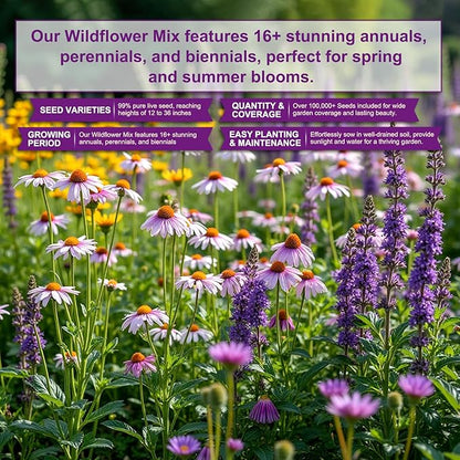 200,000 Wildflower Seeds Mix Bulk - Includes 16 Perennial Wildflower Seeds for Indoor & Outdoor Gardens - Premium Garden and Wildflower Seeds Combo