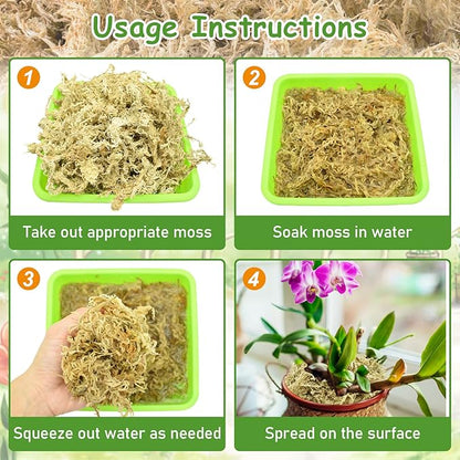 Riare 10 OZ Premium Sphagnum Moss- Natural Long Fibered Sphagnum Peat Moss Plants Moss Dried, Carnivorous Plants Moss Orchid Potting Mix for Orchids, Carnivorous Plants, Succulent (12QT)