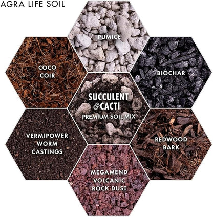 Premium Succulent Soil Mix for Indoor & Outdoor Plants - Fast-Draining Potting Soil for Succulents, Cacti, & Houseplants - Natural Blend with Pumice for Optimal Plant Growth